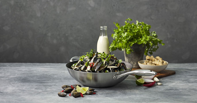 Scanpan Woks